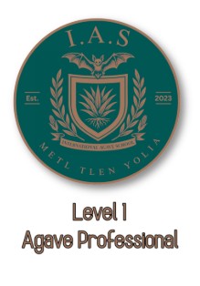 International Agave School Level 1